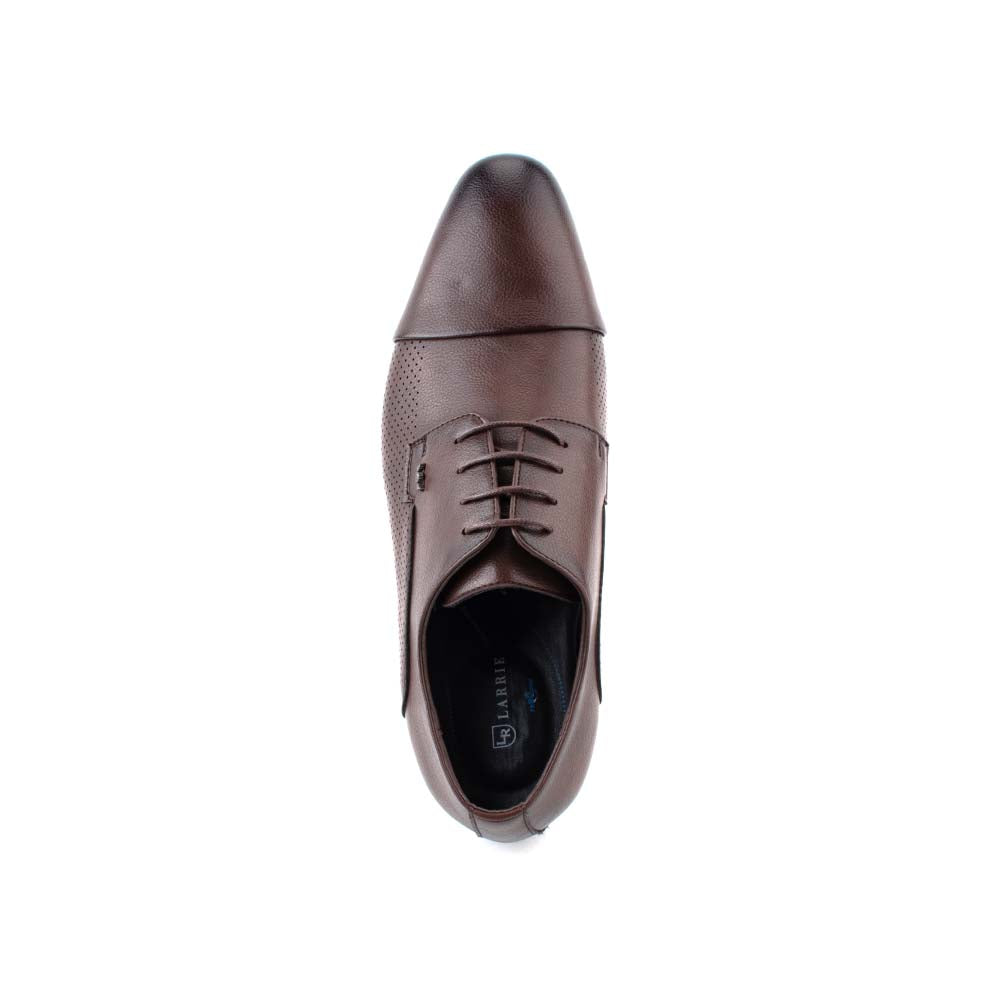 LR LARRIE Men Coffee Pointed Toe Smooth Executive Business Shoes with Lace